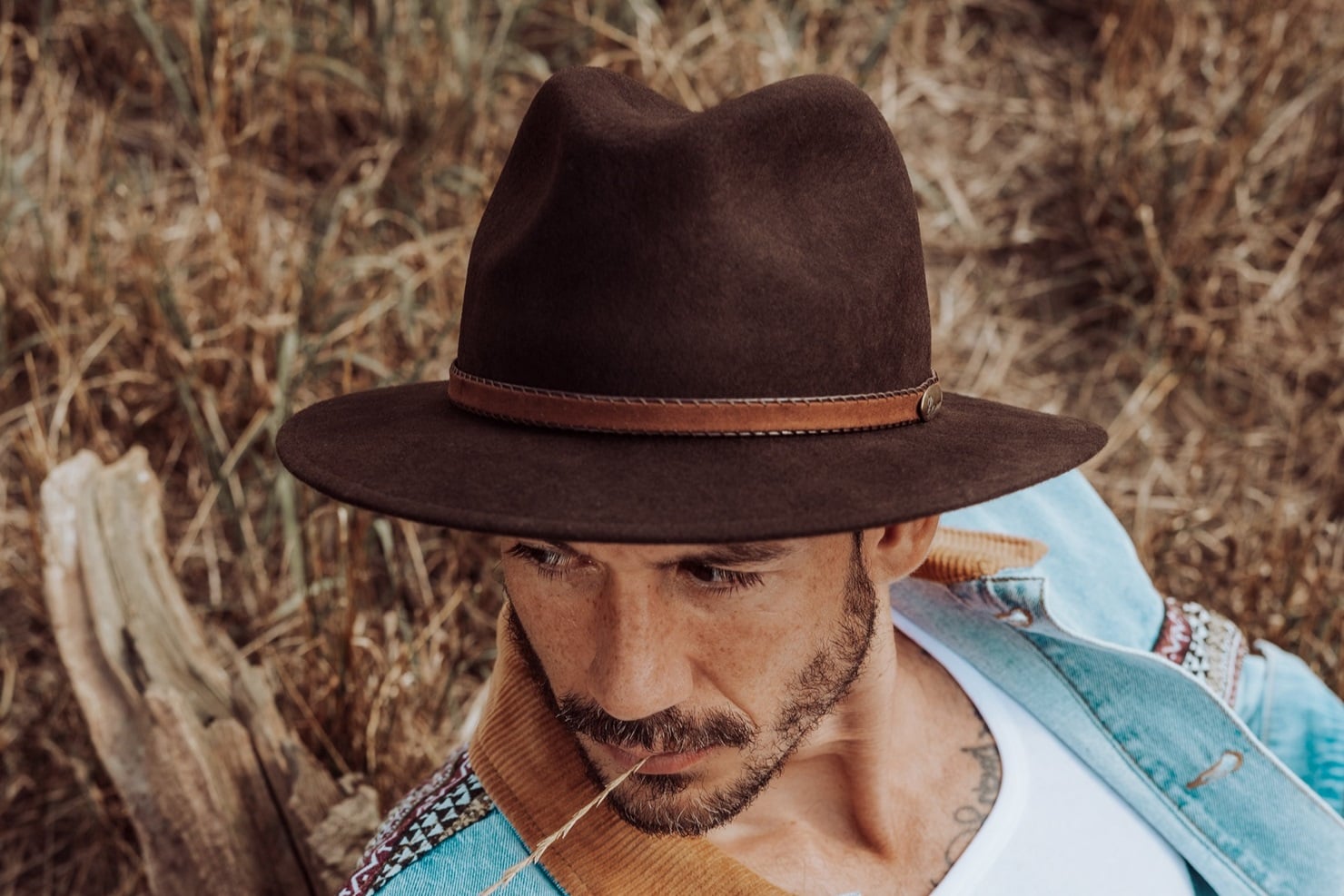 Forme di cappelli